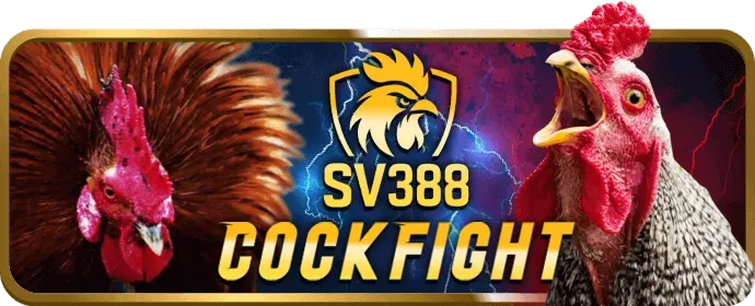 Hỗ trợ qua mạng xã hội vin68 nhà cái